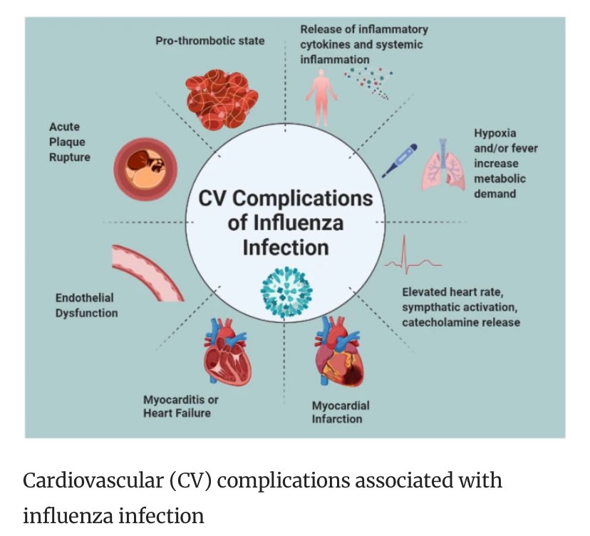 DocMPortela's tweet photo. #CardioCHUS Academy: hoy se ha hablado del seguimiento del paciente coronario crónico: dieta @DocJMFernandez rehabilitación cardiaca @carlospenagil y vacunación de la gripe
La Dra Mazón nos recordó que la💉de la gripe es una recomendación 1A.
https://t.co/dldGwMVBfO https://t.co/m687oqoHL4