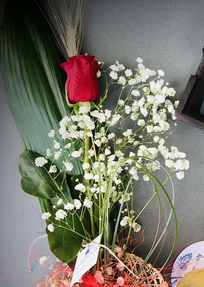 Bona Diada de Sant Jordi!!!!