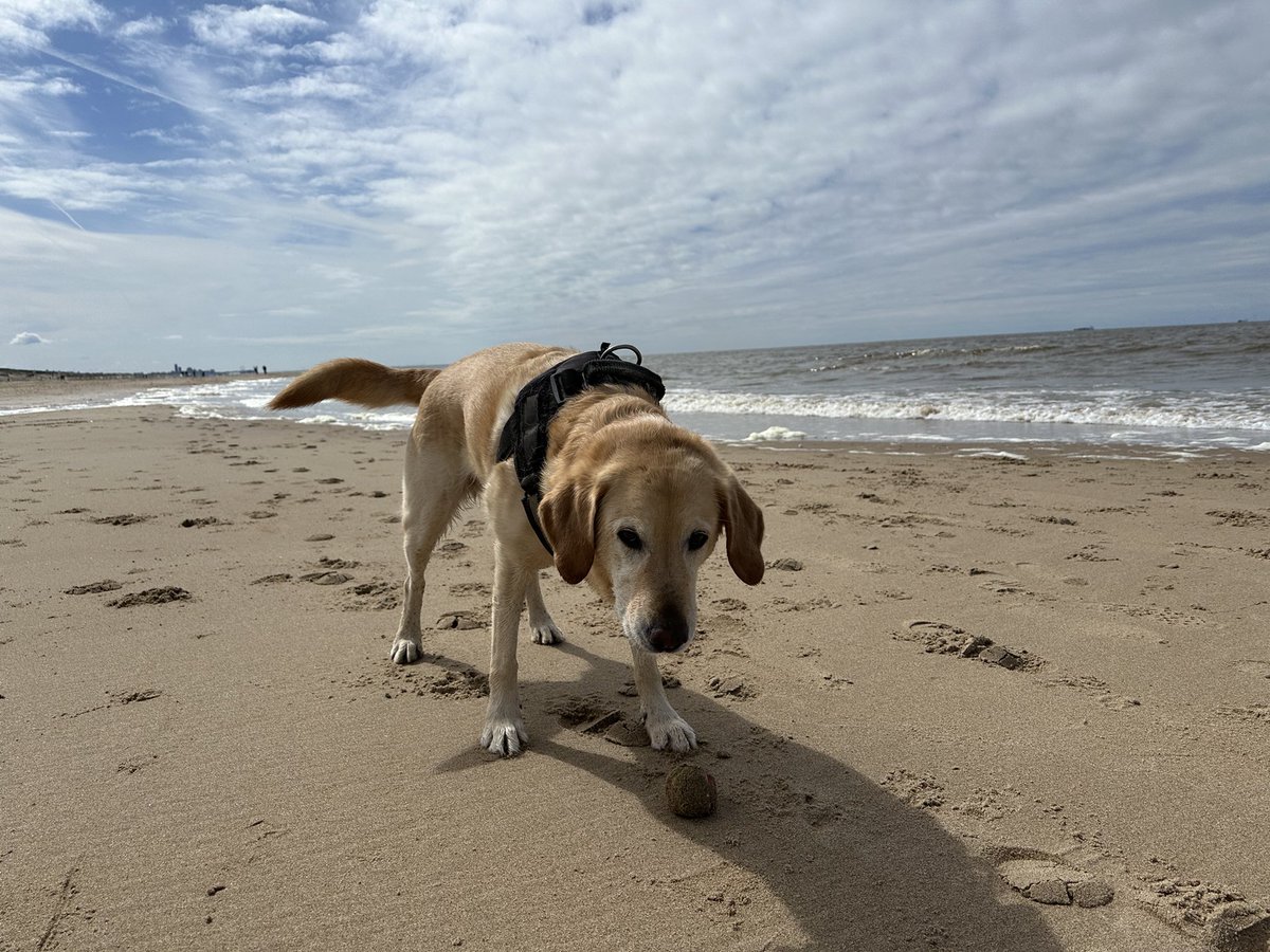 Yuki, 🦴afide tweet media