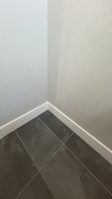 TS Eevee &amp; Ginger is live now! https://t.co/Wlg7498yU3 https://t.co/pWYpseNcOm