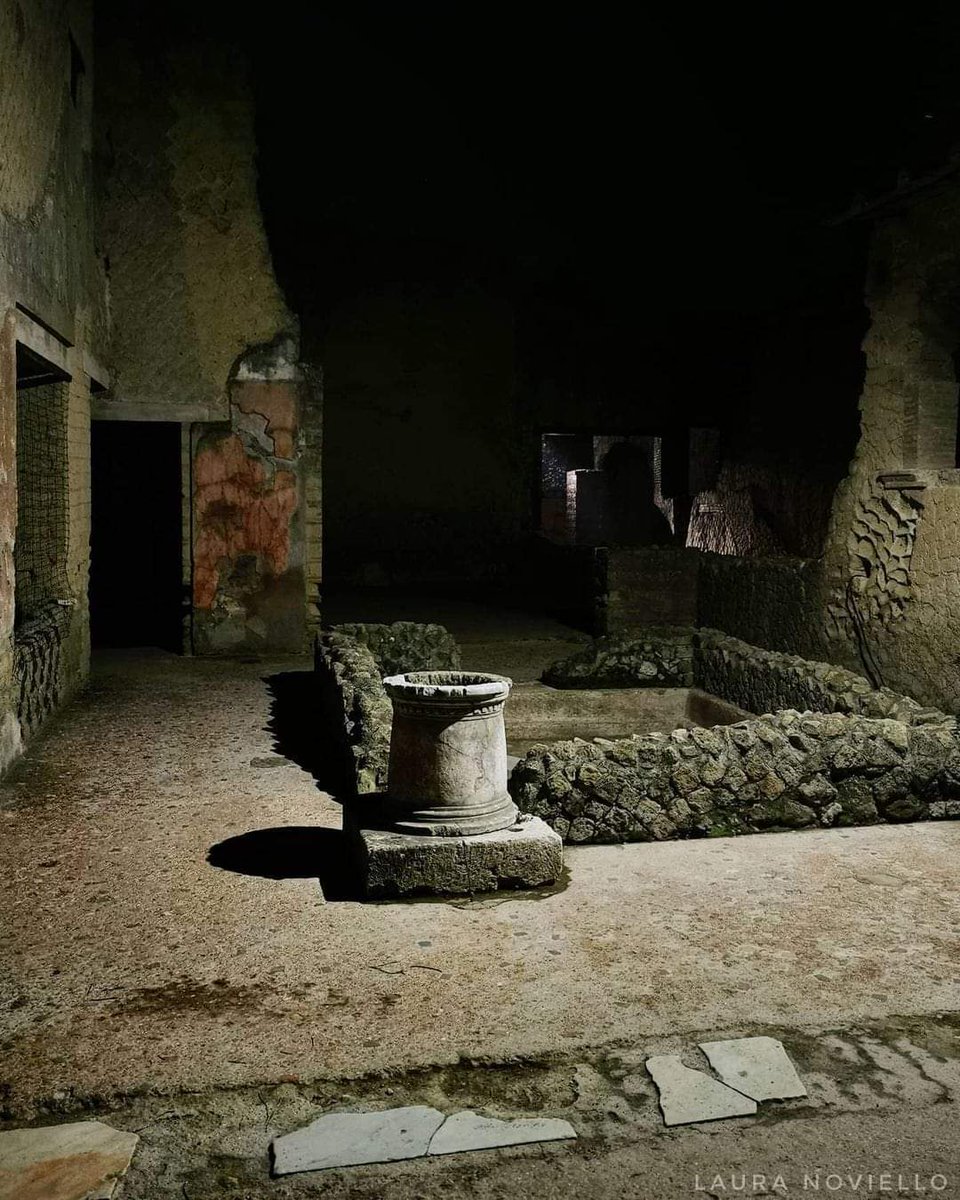 House of the Two Atriums, 
Herculaneum :

The splendid domus from the Augustan period is immersed in darkness and is very evocative.
The marble threshold of the tablinum separates us from the first atrium, here we are greeted by a large cocciopesto impluvium decorated with…