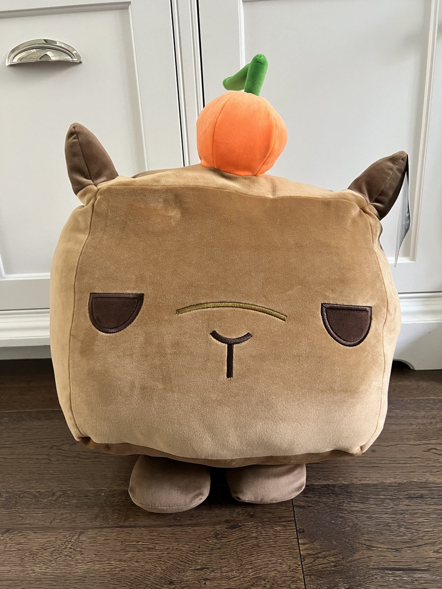 Time for another giveaway!  This one is for 2 Titanic Capybara Plushes, one each to 2 lucky winners!    

To enter:  
1. Like and Retweet this post. 
2. Follow me on Twitter.  

Contest ends Sunday, April 28th at 11:59am PT, and the randomly-selected winners will be announced