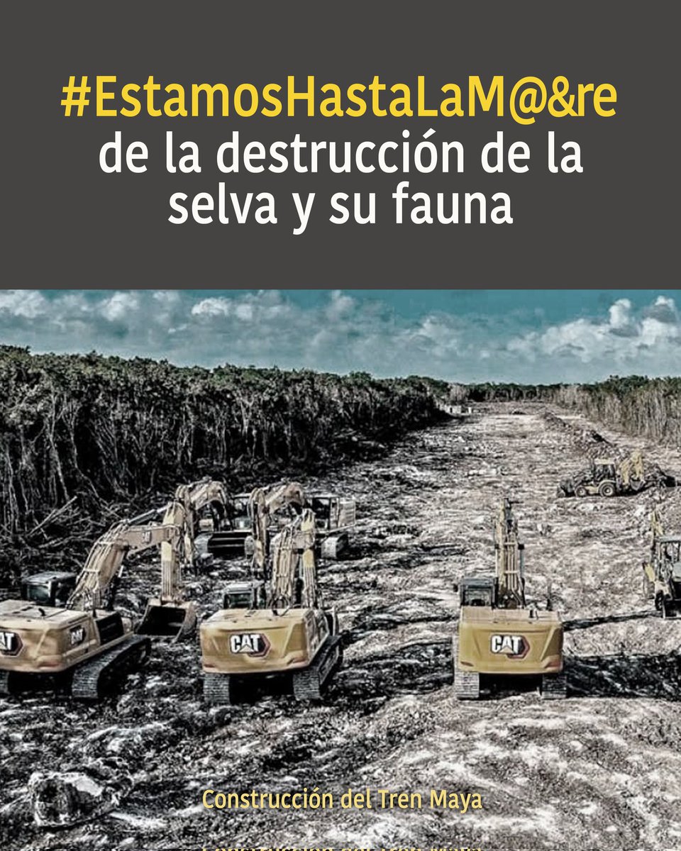 #EstamosHastaLaMadre tweet media