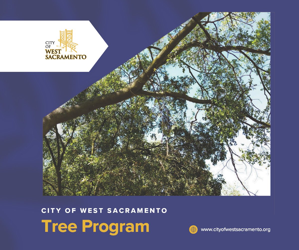 For a decade, West Sacramento Tree Program has championed tree planting, removal, and preservation, beautifying the community and ensuring clean air, ample shade, and a thriving ecosystem. Learn more at wsac.city/trees 🌳