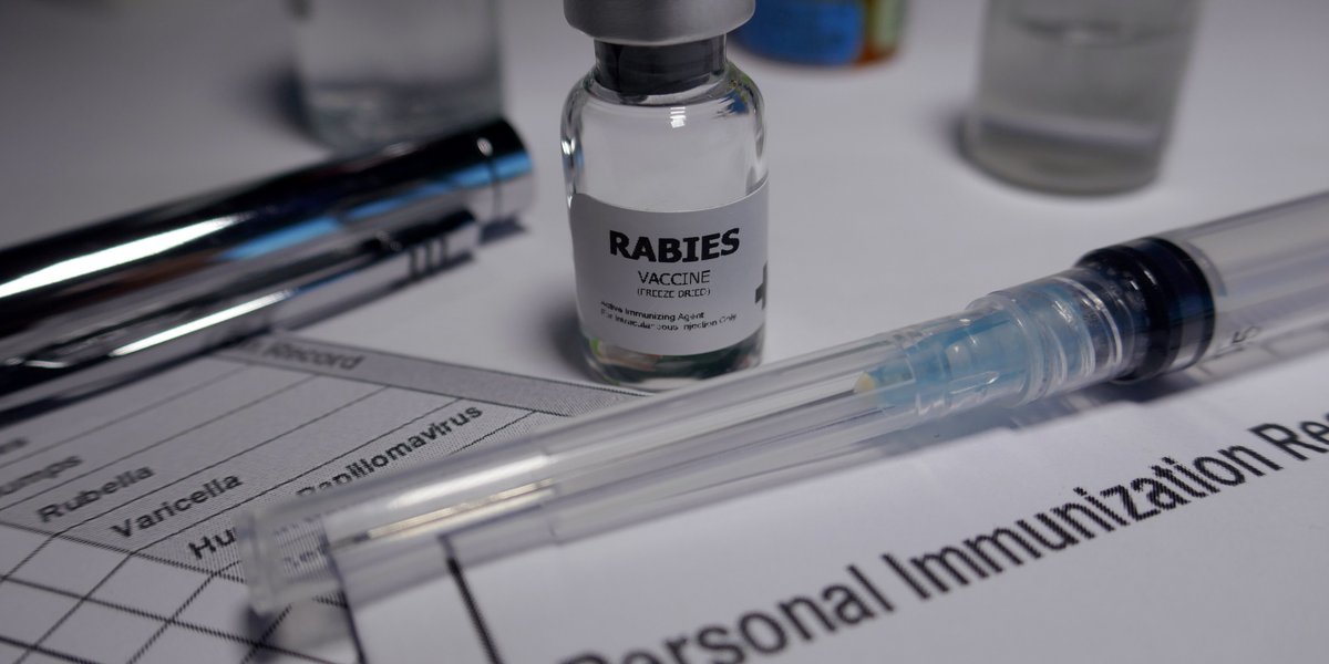 ICYMI: Our new resource aims to assist clinicians in their assessment of rabies post-exposure prophylaxis initiated outside of Canada, and provide considerations for when to restart a vaccine series, or complete serology. vist.ly/8r7