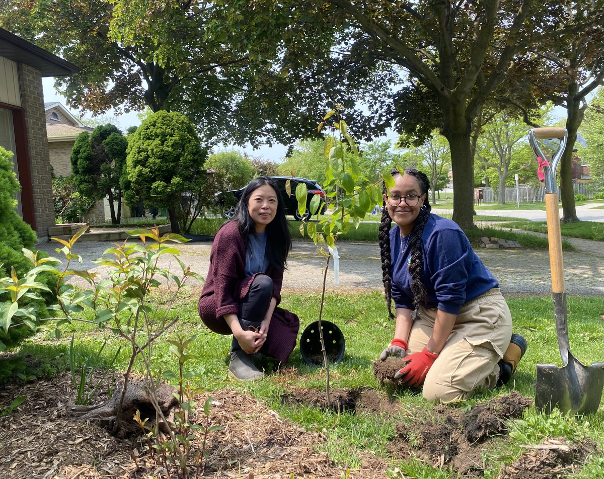 Free Webinar Alert: Top Trees to Grow in Your Yard. 🌳 Discover the best locally native trees that will thrive in your yard. Invite a neighbour and learn how you can make your neighbourhood greener! Register today: bit.ly/3WbVfr1
#GardeningTips #PeelRegion