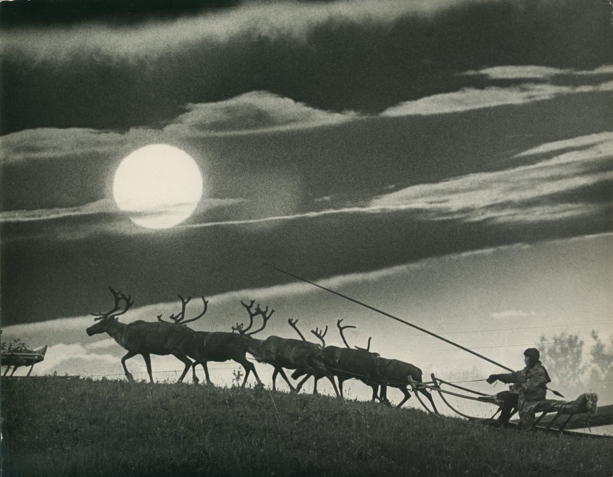 Summer in the tundra. Photo by Kalestin Korobitsyn (1950s).