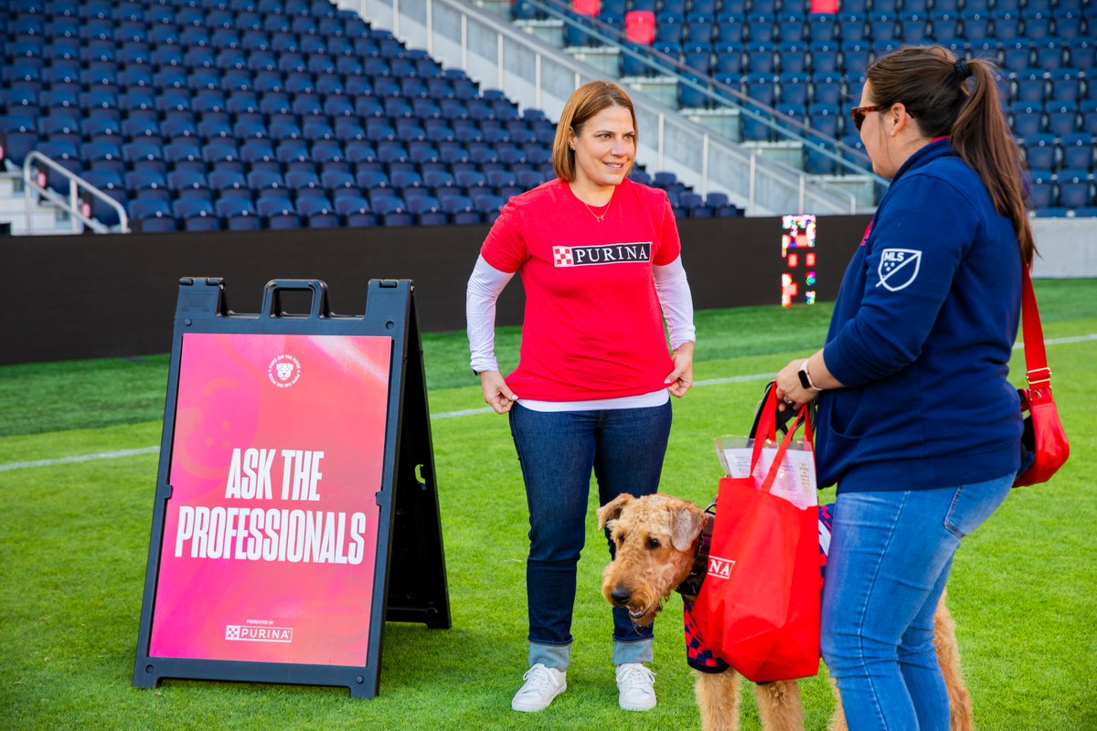 Who let the dogs out… at CITYPARK? 😏 Thanks for making 𝗣𝘂𝗽𝘀 𝗼𝗻 𝘁𝗵𝗲 𝗣𝗶𝘁𝗰𝗵 such a fun event last weekend and helping us raise some money for @hsmo. #AllForCITY x @Purina