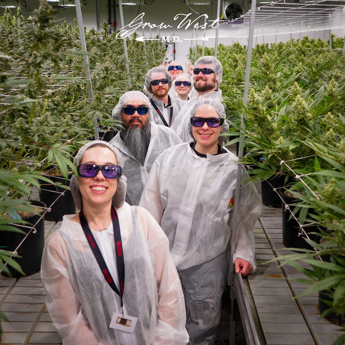 ehonda500mob's tweet photo. @growwestcannaco tour! Amazing time! Thanks for having us! https://t.co/sWvzJijq1S