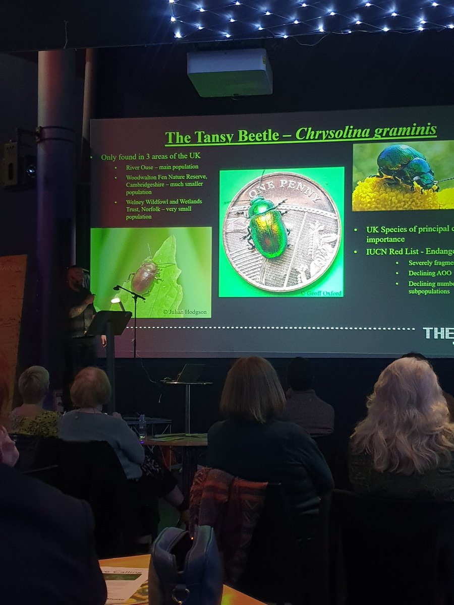 Finally... our very own senior aquarist Phill! Here to tell us about @TheDeepHull contribution to the conservation of the beautiful Tansy Beetle! #DiveDeeper #TansyBeetle #Conservation #OnOurDoorstep #TheSpeciesRecoveryProject #TansyBeetleActionGroup