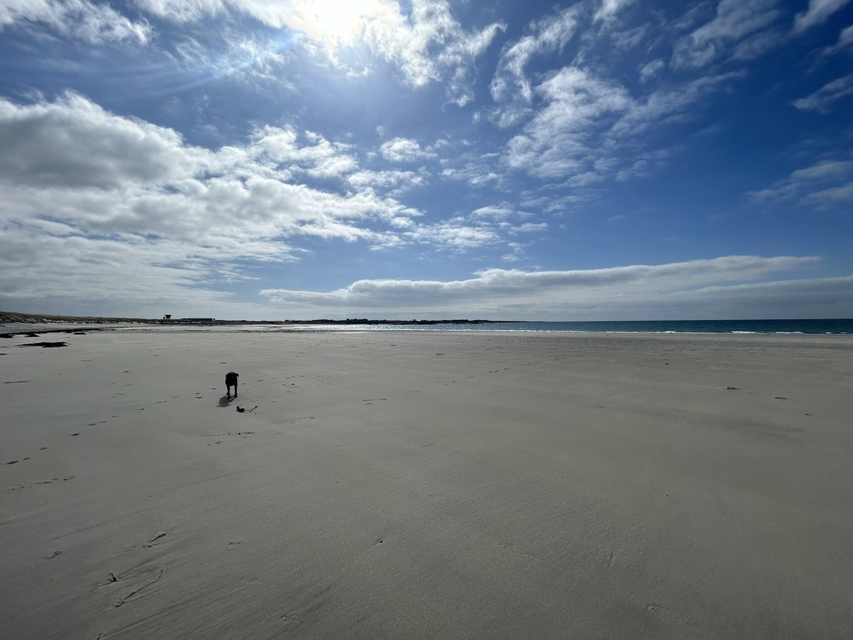 Not a bad spot for a run this afternoon ☀️

📍Airport Beach, Benbecula