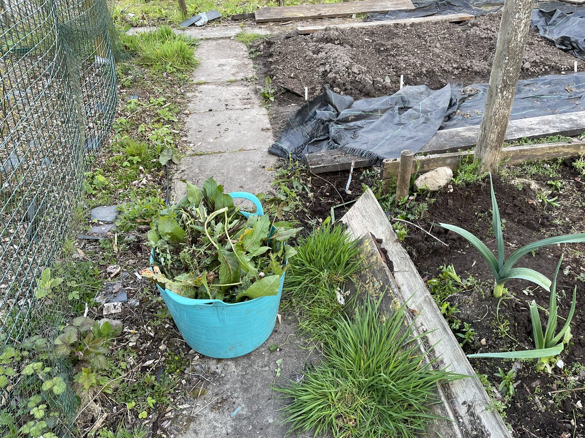 hermionemiao's tweet photo. Spending a great post-seminar hands-on time in the community garden with Tanya @TanyaMMacDonald and Gabi Brame (Sustainability Development Coordinator at @StirUni student union)

I look forward to the weekly #gardening sessions on Wednesdays from 2pm - 4pm (just turn up!) https://t.co/YEbuw0m6hg