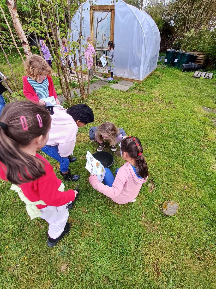 St Rumon's CofE Infant School tweet media