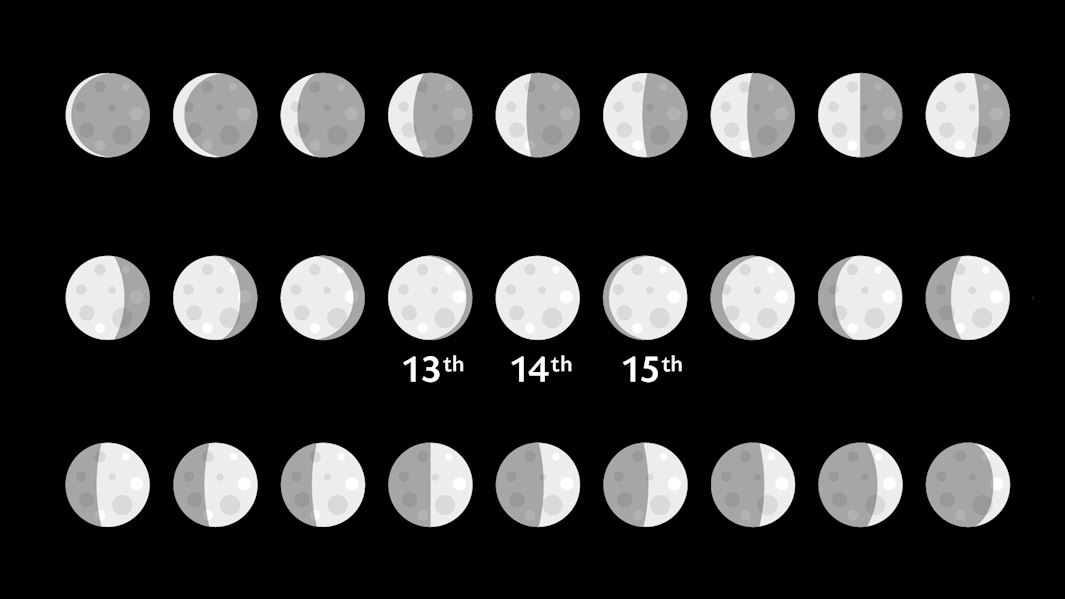 soothsayers wanafunga  Ayyām al-Bīḍ na wewe umekaa tu 

قال لي رسول الله ﷺ:
"يا أبا ذر، إذا صمتَ من الشهر ثلاثة أيام، فصم ثلاث عشرة، وأربع عشرة، وخمس عشرة."
(رواه الترمذي والنسائي وابن ماجه وصححه الألباني)