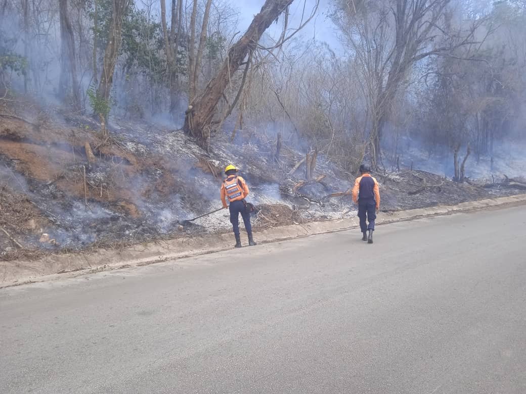 PCivil_Ve's tweet photo. #Entérate🗣 #GRUMAE de @Pcivil_Sucre_Ve acudieron al sector Las Margaritas, en la Pquia. San José de Areocuar, con el fin de proceder con el combate de Incendio de Vegetación suscitado en el área.
#JuntosPorLaVidayLaPaz
#VenezuelaEsDDHH https://t.co/cMtmucC4eE
