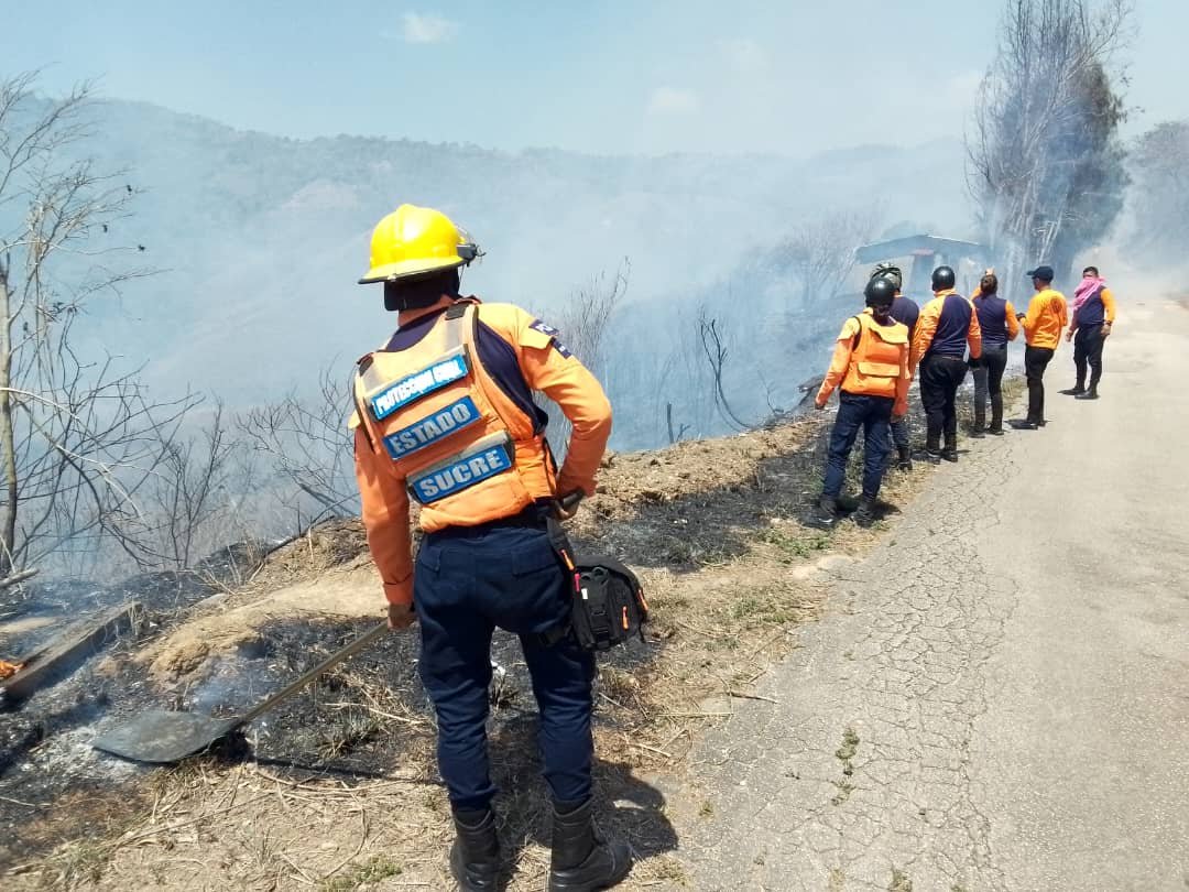 PCivil_Ve's tweet photo. #Entérate🗣 #GRUMAE de @Pcivil_Sucre_Ve acudieron al sector Las Margaritas, en la Pquia. San José de Areocuar, con el fin de proceder con el combate de Incendio de Vegetación suscitado en el área.
#JuntosPorLaVidayLaPaz
#VenezuelaEsDDHH https://t.co/cMtmucC4eE