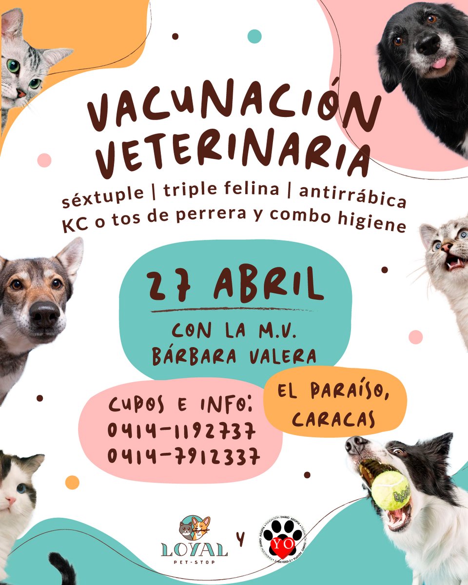 diarioadopta's tweet photo. Este #sábado tenemos #Jornada a bajo costo junto a los amigos de @LoyalPetStop Recuerda que la cita es en #ElParaíso, #Caracas y si deseas más información puedes escribirnos por  #WhatsApp a los números de la imagen @astridherrera84 https://t.co/aaqGLk3p9m