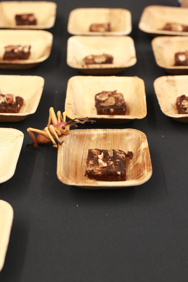 Shocked my tastebuds this morning at our Food of the Future event! 🌱🍴Austin ISD students showcased innovative dishes with sustainable ingredients like kelp, crickets, mushrooms, and plant-based proteins. Thanks to <a href="/AustinISDFood/">Austin ISD Food Service</a> and <a href="/AustinEdFund/">Austin Ed Fund</a> for making this possible!