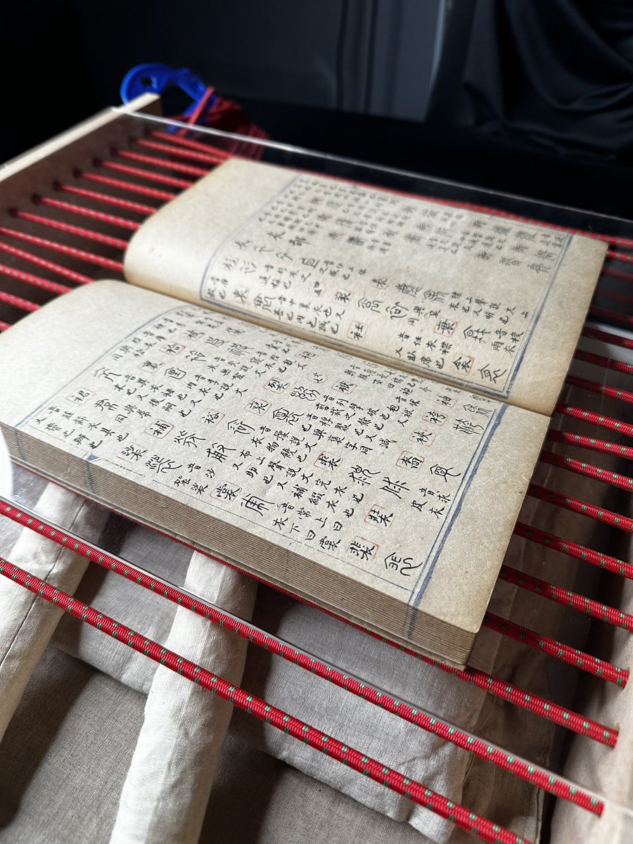 Dr Yan He tweet media