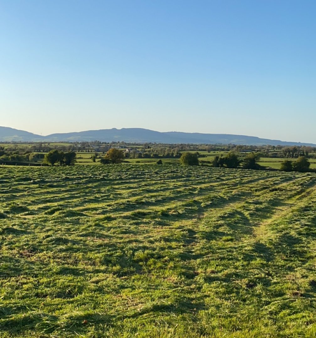 Kilsunny_Herd's tweet photo. First time for everything, silage in April ๐
#grass24 #silageseason #firstcut https://t.co/BEmznmE8ZQ