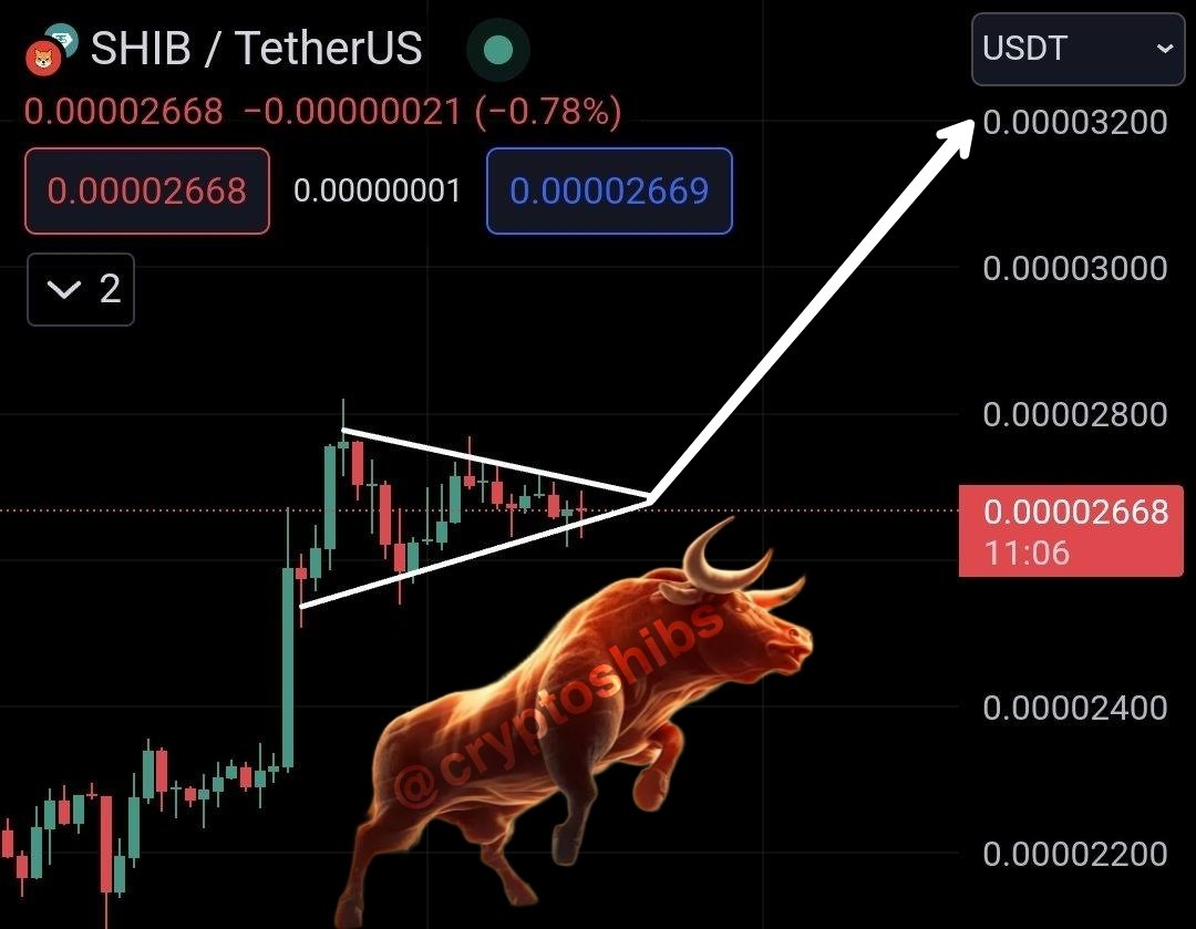 Market will decide $SHIB pattern direction. Upside breakout target is around 3200 🔥
#shibaArmy #ShibaInu #shiba #Shibarium
#SHIBARMY #SHIB #SHIBARMYSTRONG