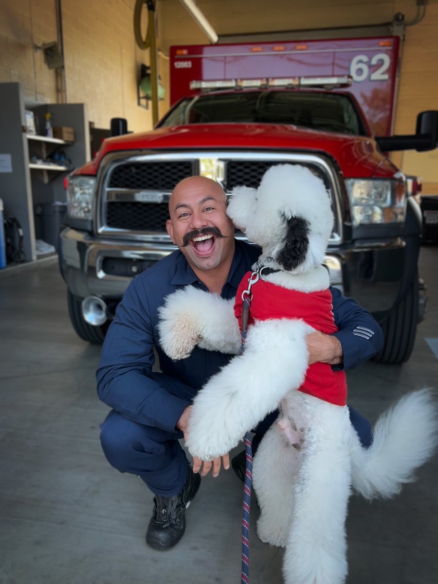 Meet Sampson, the sheepadoodle with a heart bigger than his smile! This endearing canine charmed the entire LAFD, earning the honor of becoming their official K-9 mascot in 2023. Could your furry companion be the next LAFD mascot? Don't miss out! gogophotocontest.com/howlingheroes