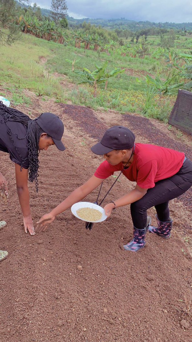 They look beautiful but decided to engage in agriculture without any consideration!

Due to the passion from them, I declare that food security is knocking on doors!

#FoodSecurity
#WomenInAgriculture