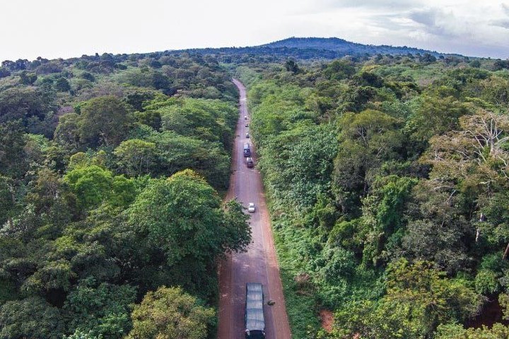 cceai_africa's tweet photo. Forests 🌳🌳contribute to the water💦 cycle reduce soil erosion, enhance nutrient cycling provide habitats🦍🦧 for pollinators🐝. 

Its also  maintain biodiversity🌿 also are key to feeding 🌽a growing population #SDGs. #ConserveForests #Reforestation https://t.co/zKJkCEBUhG