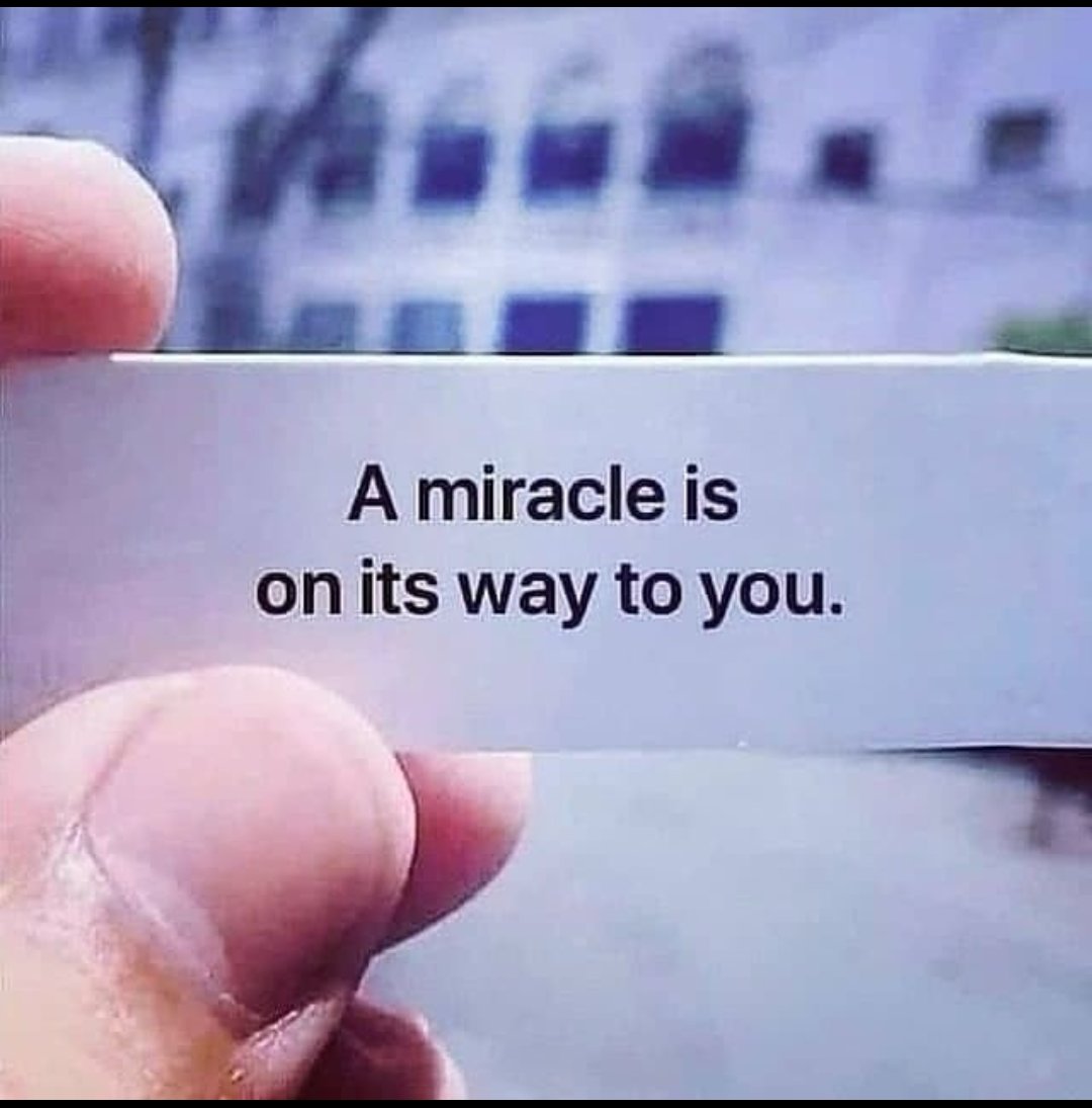 The Secret Quotes tweet media