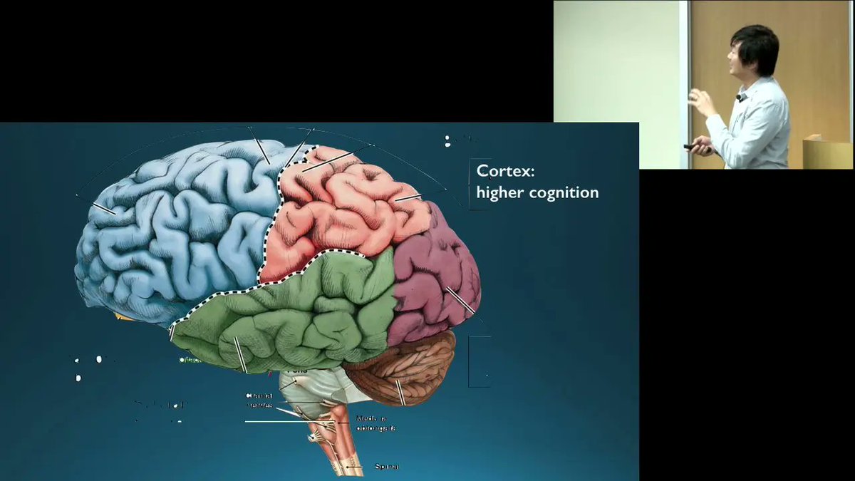 NeuroCognition | Cognitive Neuroscience

Human behavior Neuroscience of Perception Perception and Action Cognitive Neuroscience - Computação afetiva e Mirror neurons - Stimulus for EEG ERP EEG-fMRI NIRS fNIRS

brainlatamimages.com/blog/human-beh…