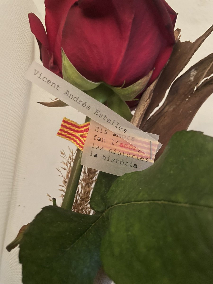 Sou genials!!! 😍😍😍 Ha estat una molt bona Diada de #SantJordi2024 !!