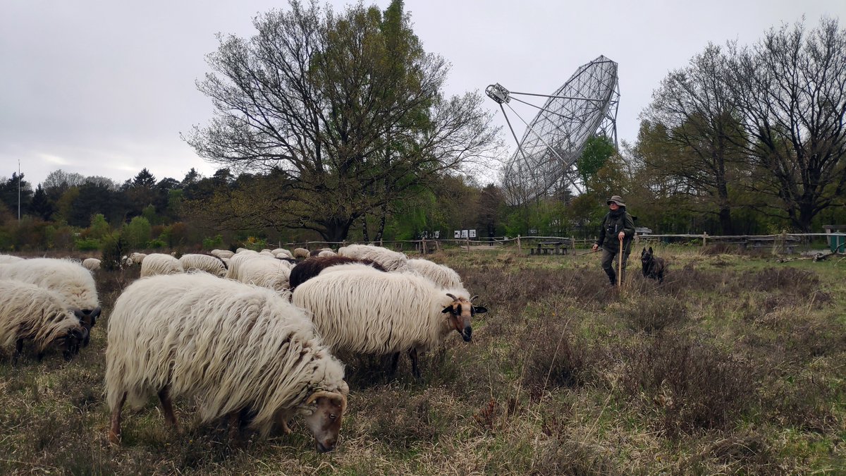 In de meivakantie geven we op zondag 28 april en op woensdag 1 mei rondleidingen in de telescoop. Wie komt er meekijken (c.q. meeluisteren) naar een pulsar, de zon, een supernovarestant of een ver melkwegstelsel? Reserveren kan via camras.nl