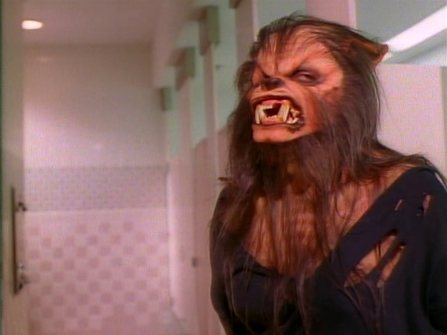 DobesCrusher tweet picture