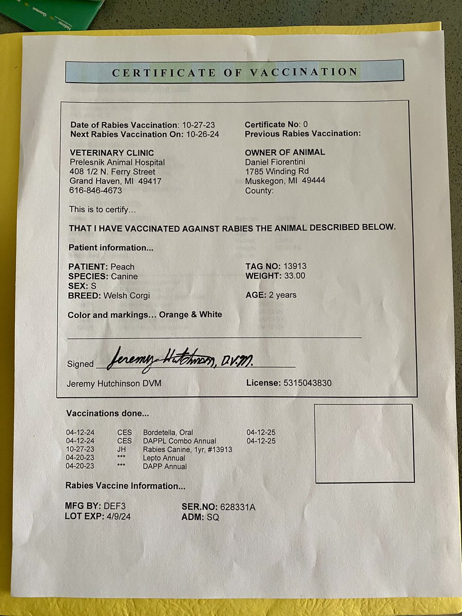 Daniela Monroy tweet media