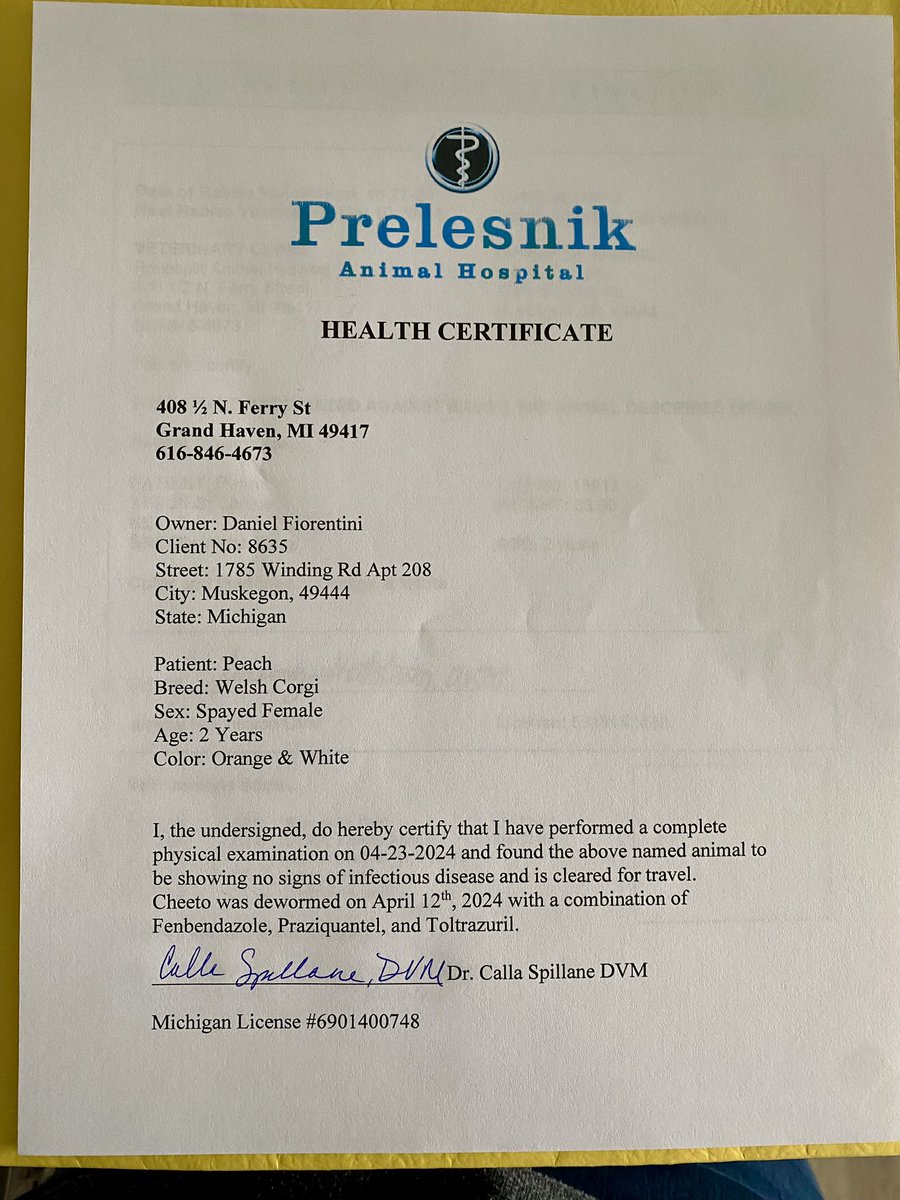 Daniela Monroy tweet media