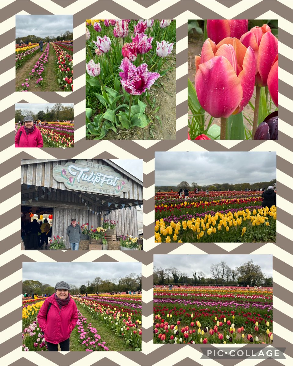 A visit to Tulley’s Tulip Festival in W Sussex. It was lovely though really really cold. It’s well worth a visit though next year we will go earlier as a number of tulips had already flowered. A pub meal after rounded off a nice visit xx