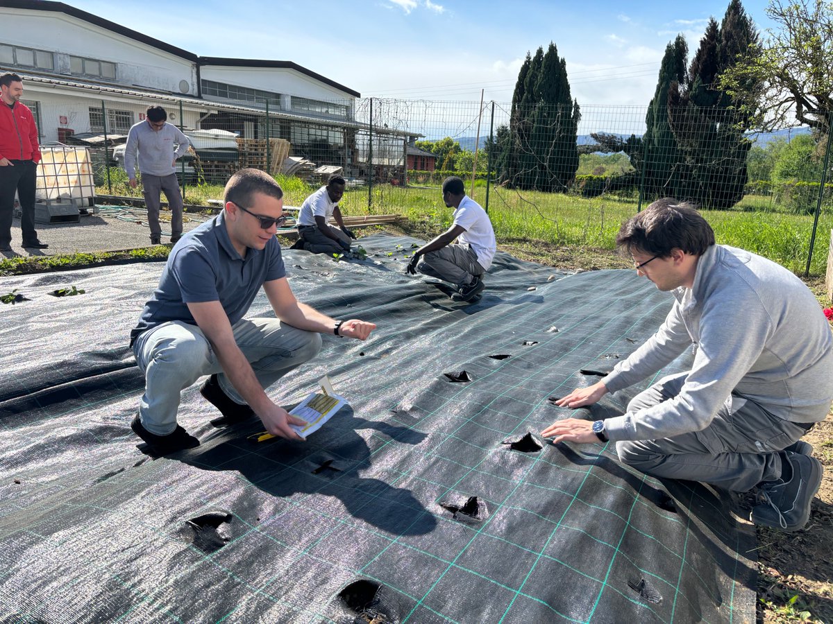 Happy to celebrate #EarthDay 2024 and prepare our company garden with new plants!
