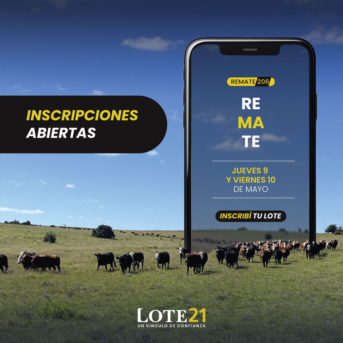 Inscriba su lote