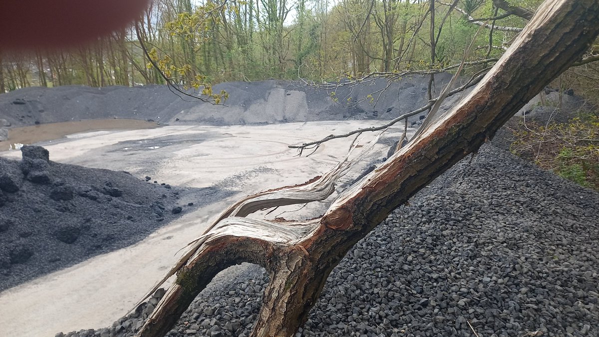 neryswyn's tweet photo. @yrhesg68260 @WGClimateChange @Earthwatch_Eur @NatResWales @HeritageFundCYM @HeritageFundUK @JulieJamesMS https://t.co/xnPKiRPmHT