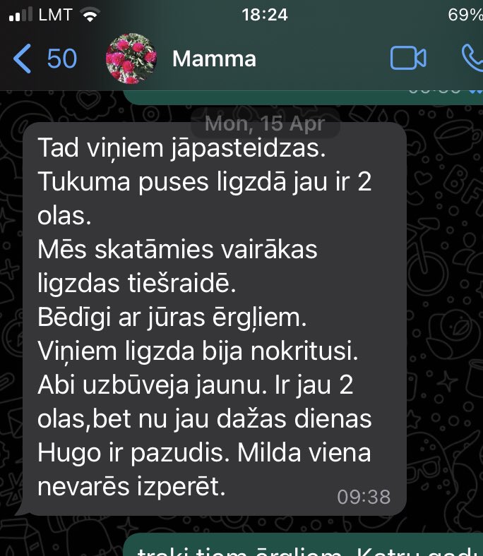 Timo tweet media