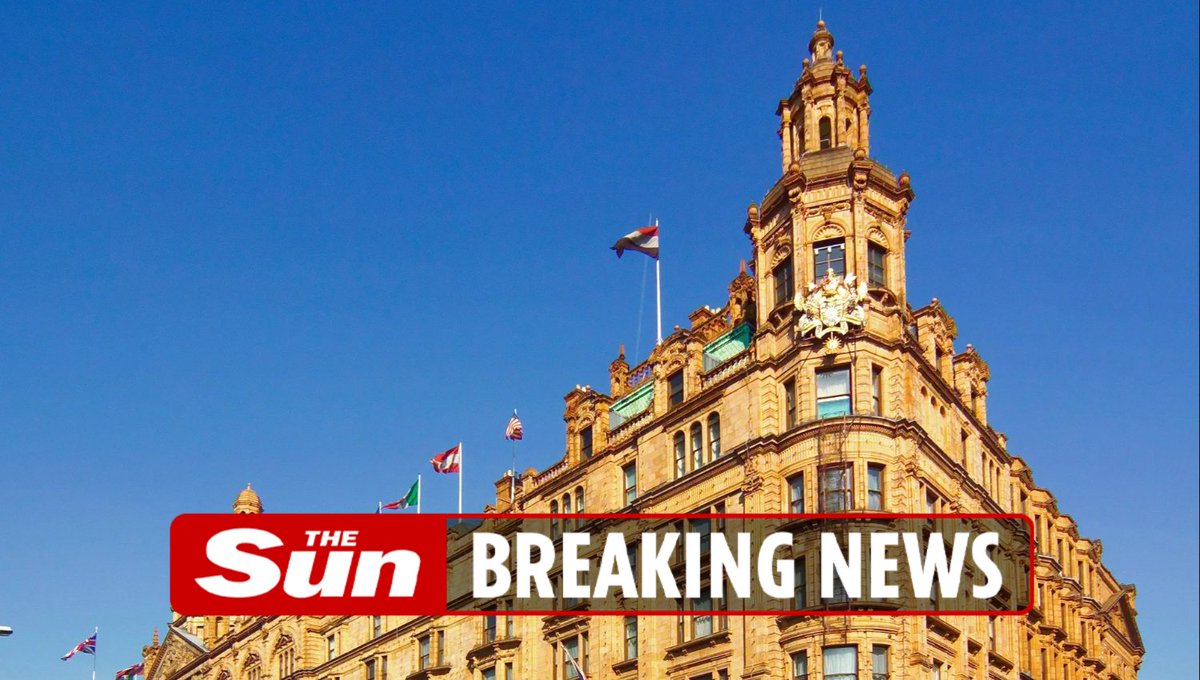 Girl ‘kidnapped’ from outside Harrods as man is arrested thesun.co.uk/news/27481592/…