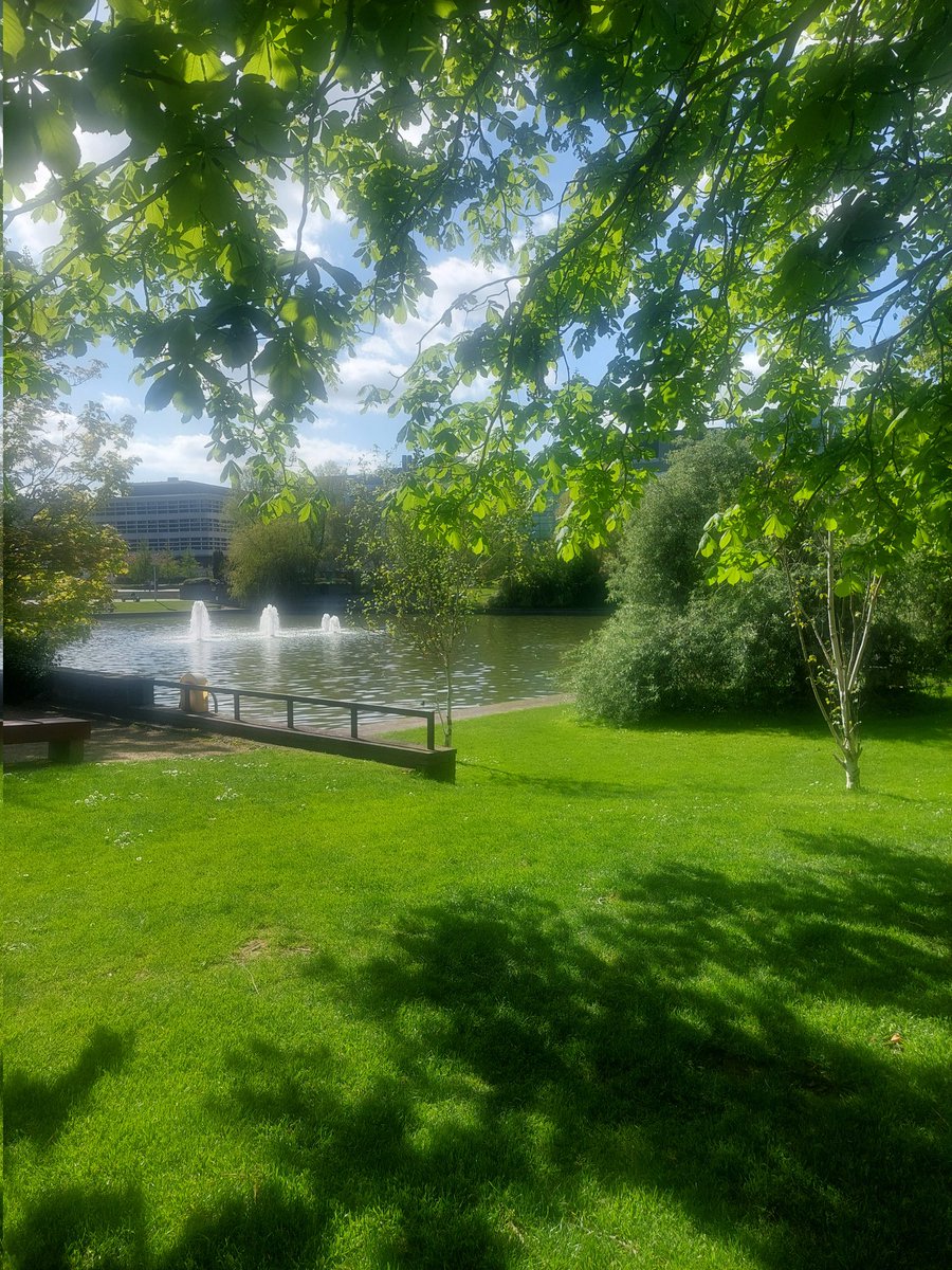 UCD Campus looking gorgeous today