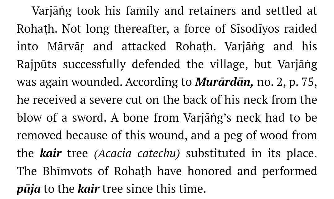 Bone grafting(?) in mid 1450s Rajasthan. A Rajput warrior received a severe sword wound leading to a bone from the back of his neck to be removed and replaced with wood of kair tree.