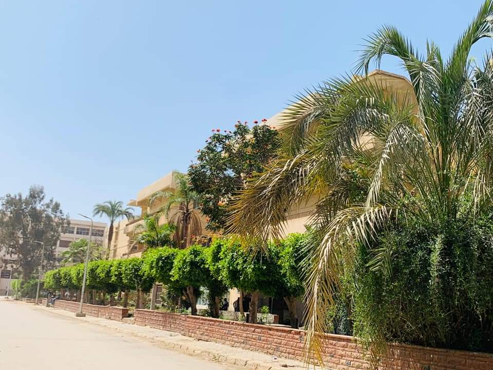 Lawnha0's tweet photo. يبختنا بجامعة الزقازيق والله 🥰💚💚💚

- عمرك شوفت جمال كدا؟ دي مش جامعة في أوروبا دي جامعتنا جامعة الزقازيق. 🥰💚

#حملة_لوّنها 
#بالأخضر_نحليها 
#جامعة_الزقازيق https://t.co/6Ww4AgHjTk