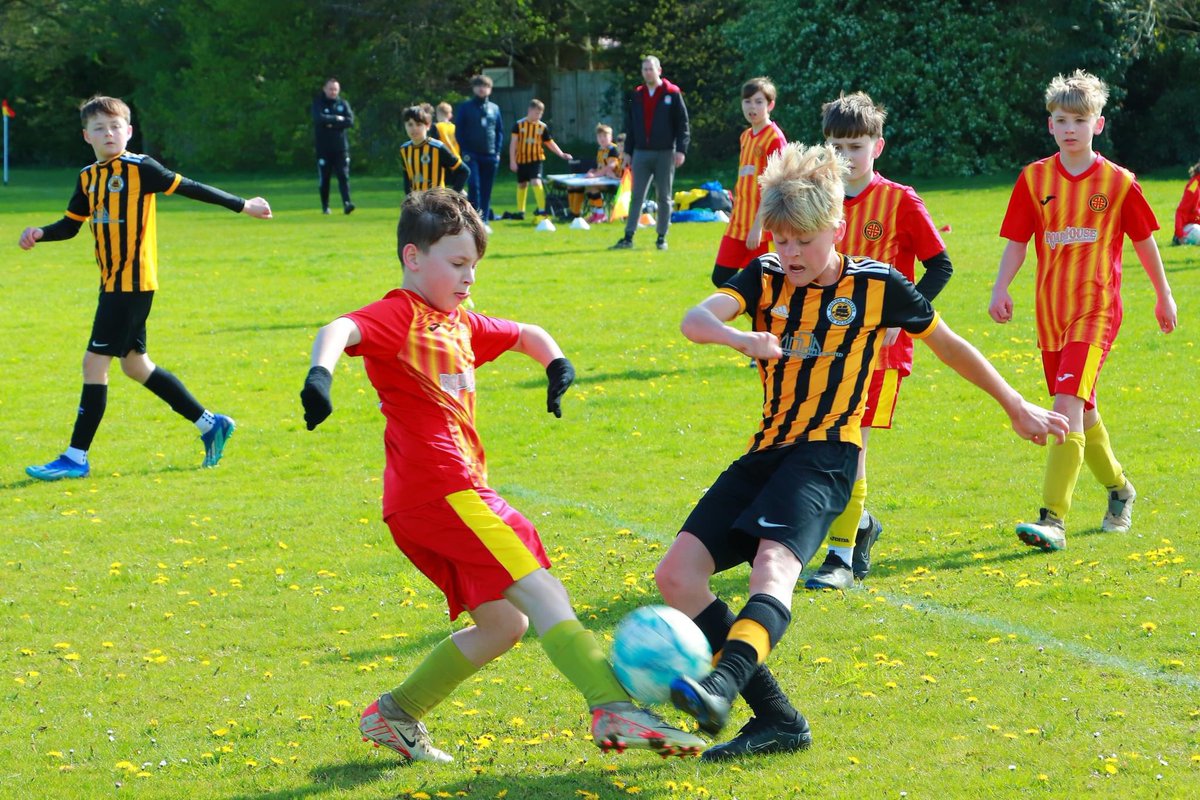 BUCFC's tweet image. We’re looking for players to join our U12 to U16 grassroots football teams for the 2024/25 season. 

If you're interested, you can register to attend our open event on Wednesday 15th May 2024 here: form.123formbuilder.com/6628730/u13-to…

• 7pm to 8pm - U12, U13
• 8pm to 9pm - U14, U15, U16