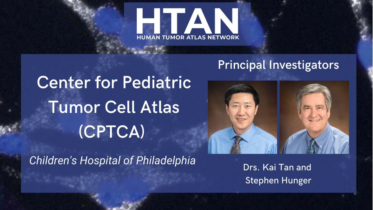 What causes responsive #ChildhoodCancers to become resistant? @KaiTanLab1 et al. @ChildrensPhila #HTAN are creating multi-omic atlases of #glioma, #neuroblastoma, and lymphoblastic B-cell #precursor #leukemia. humantumoratlas.org/hta4  #CancerMoonshot