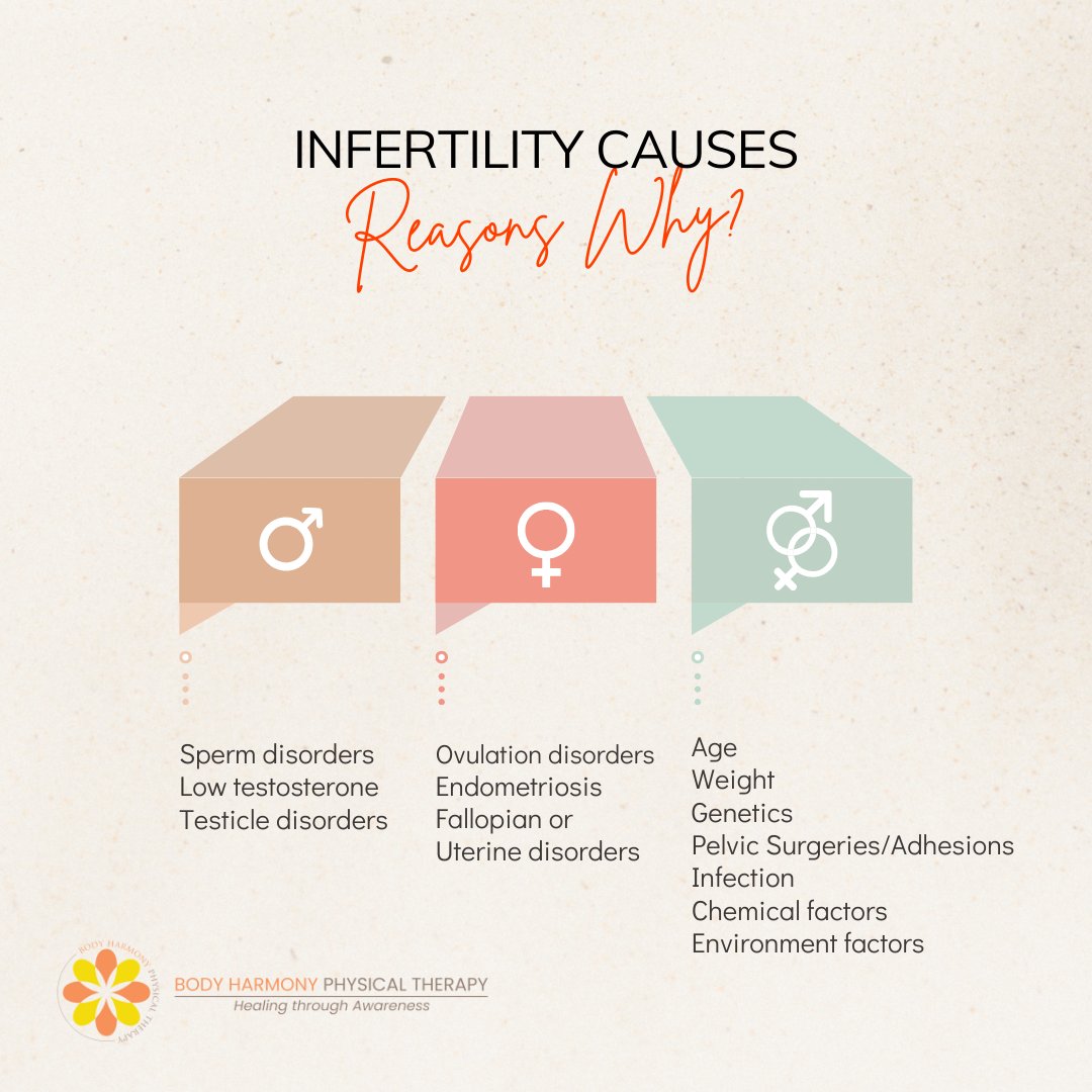 Traditionally women were believed to be responsible for becoming pregnant.
Through science we have learned that there are many factors involved.
We believe at Body Harmony Physical Therapy, infertility should be treated holistically. 
#infertility #pelvichealthpt #pelvicptnyc