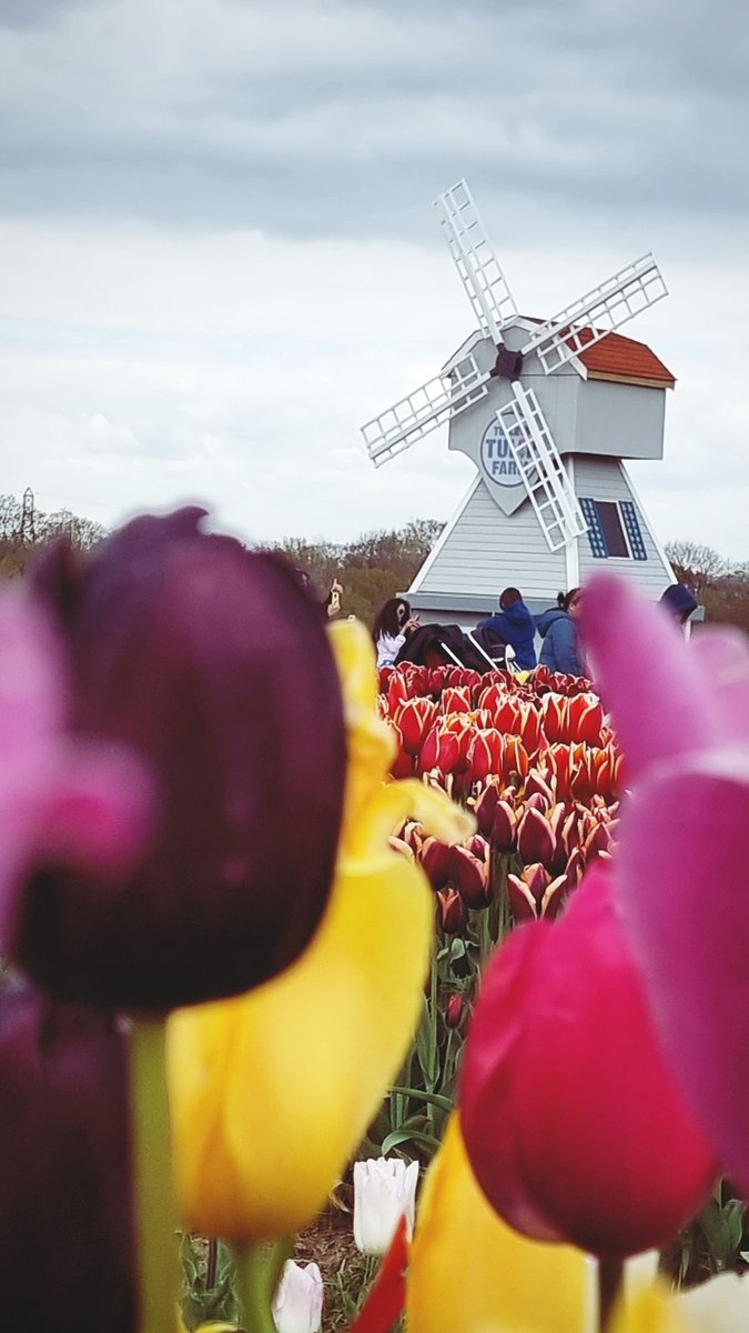 Imogen Negomi tweet media