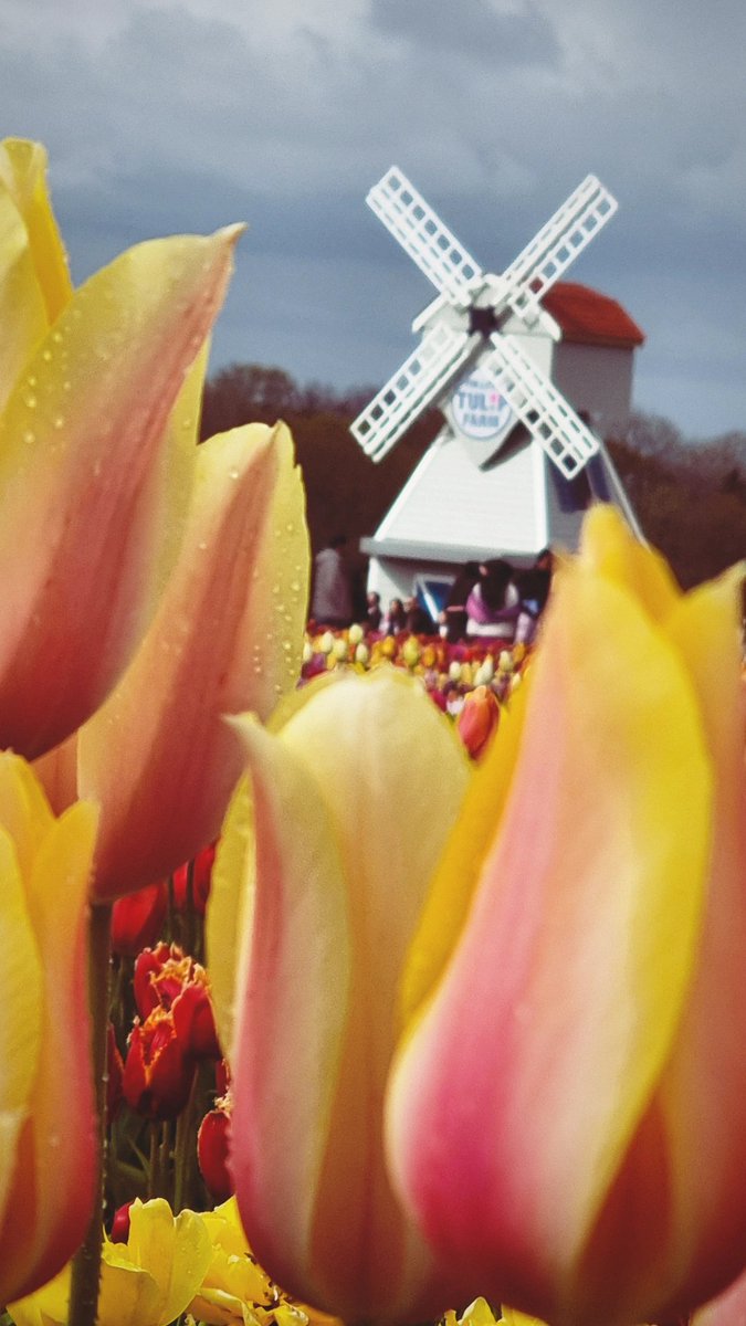 Imogen Negomi tweet media