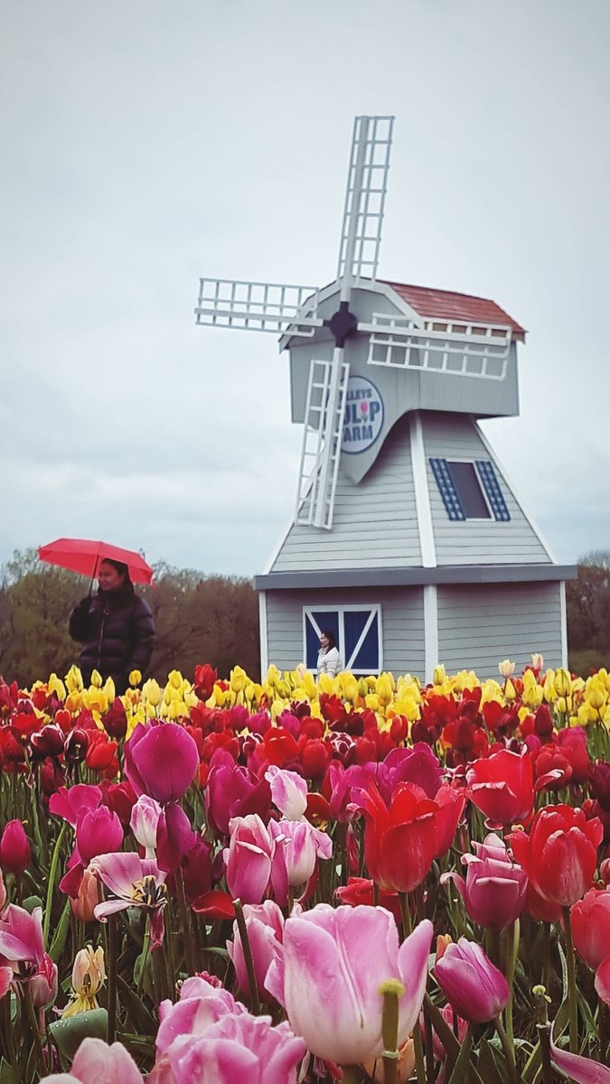 Imogen Negomi tweet media